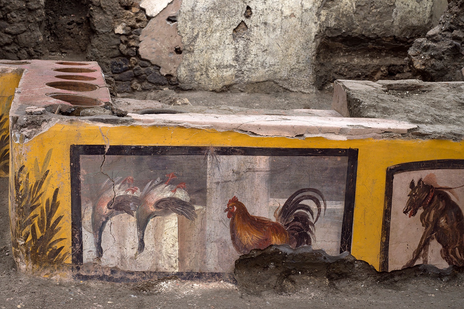Painted serving counter with roosters and a dog at the Thermopolium of Regio V in Pompeii